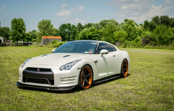 Picture nissan, white, gt-r, matt