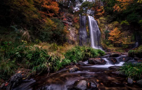 Picture autumn, river, waterfall
