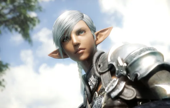 Face, final fantasy, elezen, ff xiv