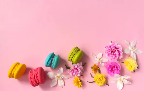Flowers, cakes, macaroon