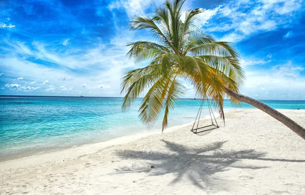Picture sand, sea, beach, the sun, palm trees, swing, shore, summer