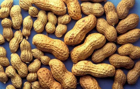 Wallpapers, peanuts, Arachis