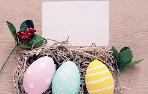 Berries, sprig, holiday, eggs, Easter, Socket