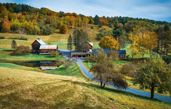 Picture road, autumn, forest, hills, slope, village, house