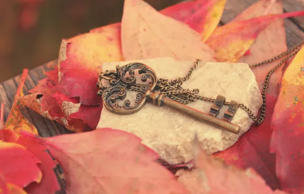 Picture autumn, leaves, metal, stone, key, red, Board, chain