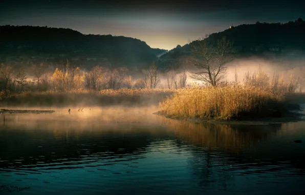 Autumn, grass, light, trees, fog, reflection, hills, morning