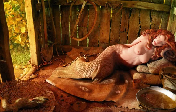 Mermaid, the barn, instrumento