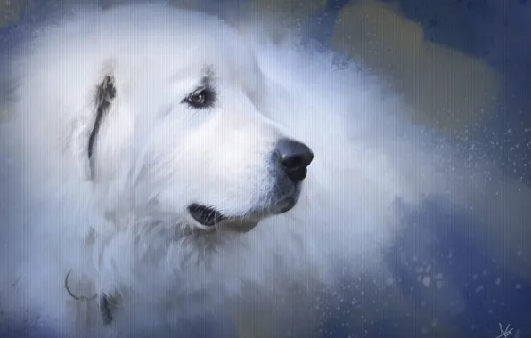 Picture dog, texture, art