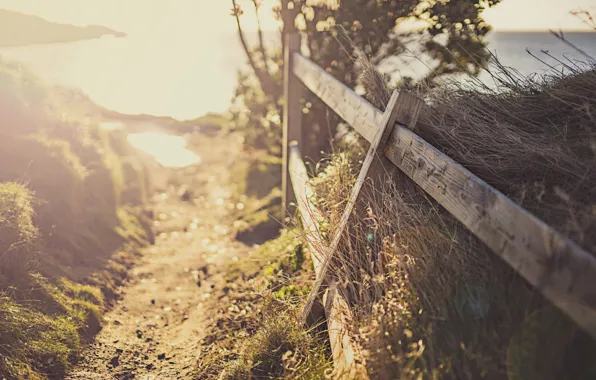 Light, the fence, morning