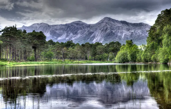 Forest, trees, mountains, clouds, lake, the reeds, overcast, HDR