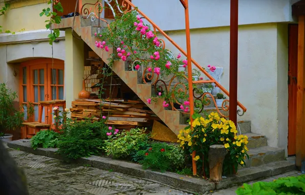 Picture Flowers, Ladder, House, Flowers, Colors, Yard