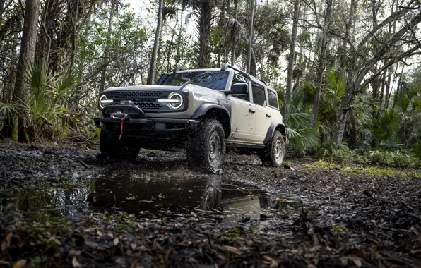 Picture Ford, Trees, Dirt, SUV, SUV, Sport utility vehicles, Sport utility vehicle, Ford Bronco Everglades special …