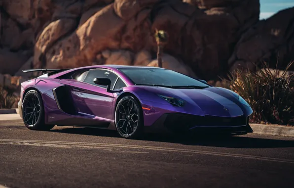 Lamborghini, supercar, Aventador, HRE, Superveloce, LP-750, Aventador SV, Viola Parsifae