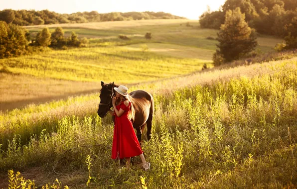 Picture field, grass, girl, mountains, photo, horse, meadow