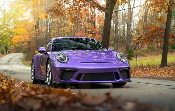 Picture 911, Porsche, Autumn, Turbo S, Forest, 992