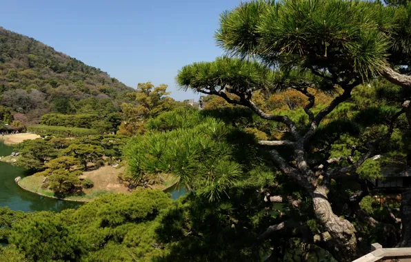Picture greens, trees, Japan, garden, pond, Takamatsu, Ritsurin garden