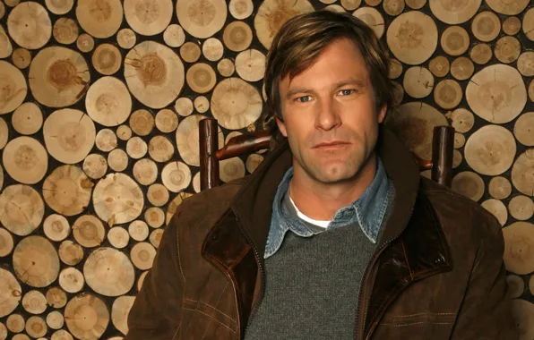 Picture actor, hollywood, aaron eckhart