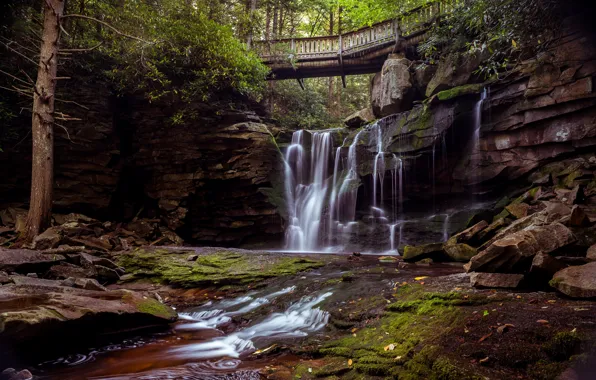 Picture stones, waterfall, USA, the bridge, Blackwater Falls State Park