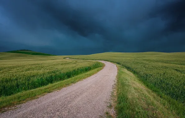 Picture road, field, grass, clouds, bad weather