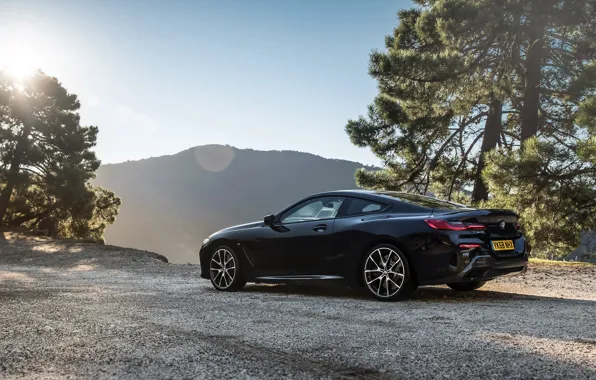 BMW, rear view, Coupe, 2018, 8-Series, M850i, XDrive