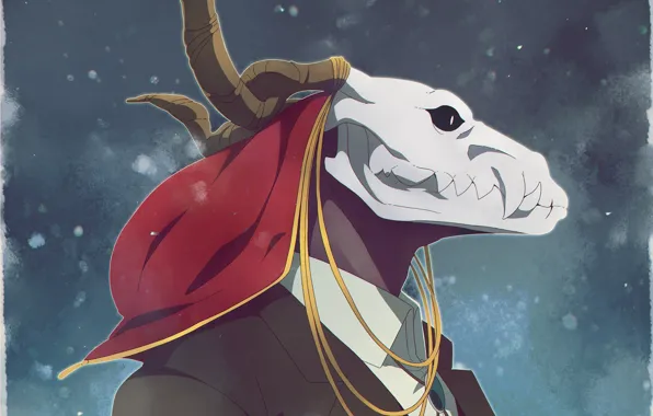 Skull, being, profile, male, Mahou Tsukai no Yome, Bride of the sorcerer, Elias