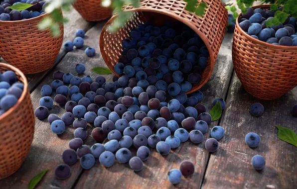 Nature, Berry, Blueberries