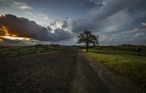Picture road, the sky, trees
