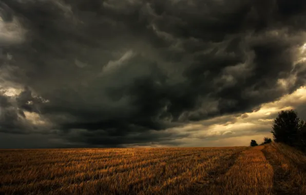 Road, the storm, field, the sky, trees, clouds, storm, storm