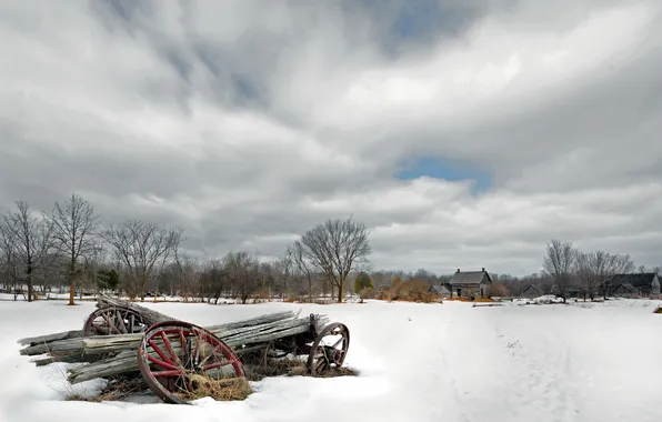 Winter, field, landscape, cart