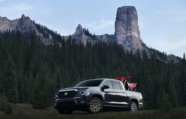 Forest, trees, mountains, Honda, pickup, 2020, Ridgeline, 2021