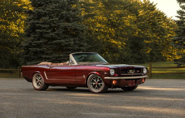 Mustang, Ford, muscle car, Ringbrothers, 1965 Ford Mustang Convertible, Ford Mustang Uncaged