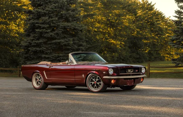 Picture Mustang, Ford, muscle car, Ringbrothers, 1965 Ford Mustang Convertible, Ford Mustang Uncaged