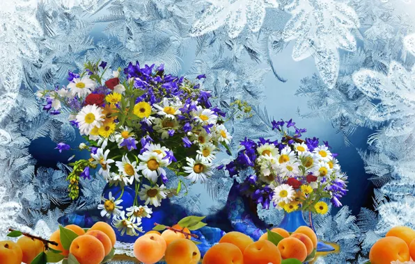 Frost, bouquet, Chamomile, fruit, peaches, Still life