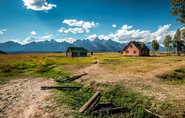 Field, the sky, grass, clouds, trees, mountains, house, blue