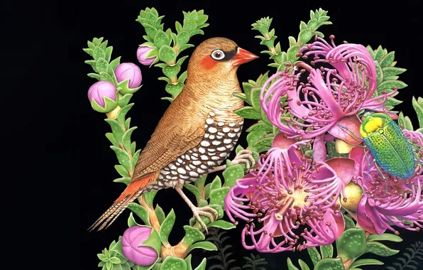 Flowers, bird, woodpecker