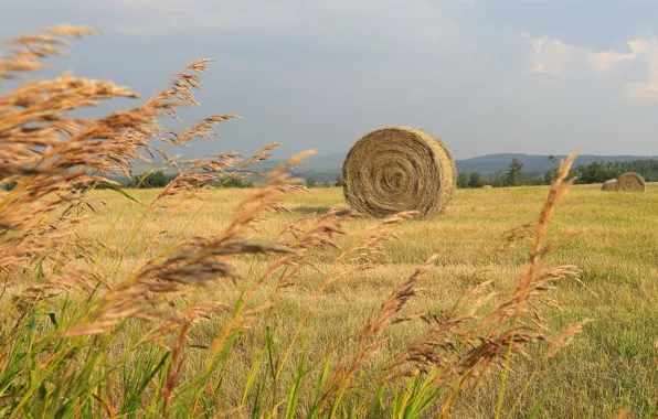 The sky, Field, Hay bale