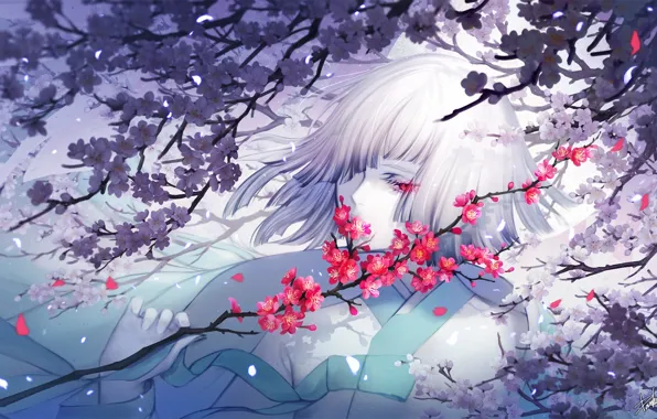 Picture girl, flowers, branch, Sakura, white hair, danhu