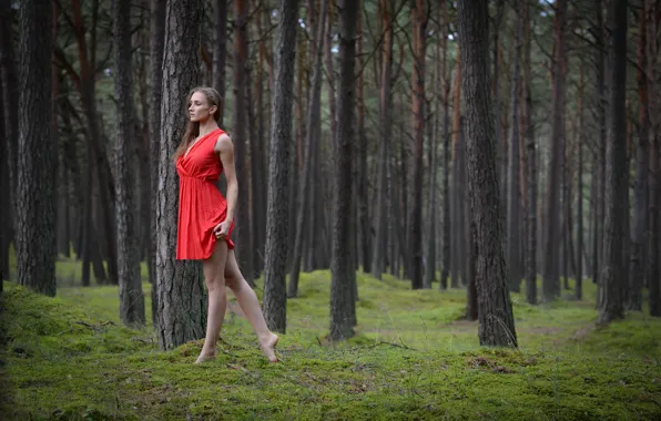 Picture forest, girl, dance, in red, Magda, Polish forest