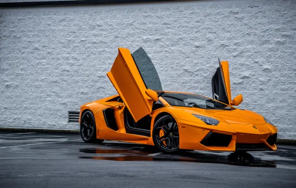 Picture Lamborghini, Lamborghini, Orange, Orange, Door, Supercar, LP700-4, Aventador