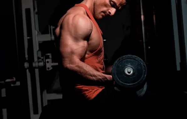 Pose, muscle, muscle, training, biceps, gym, training, weight