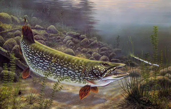 River, figure, fish, picture, art, painting, under water, pond