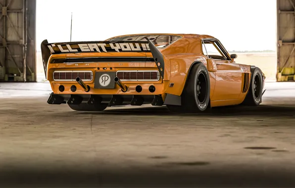 Ford, Shelby, GT500, Auto, Yellow, Machine, Orange, 1969