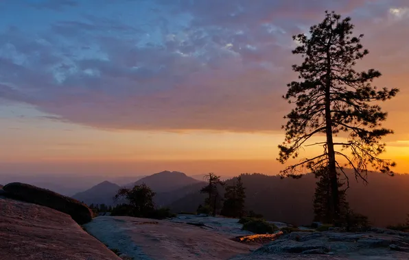 Picture sunset, usa, beetle rock, sequoia national park