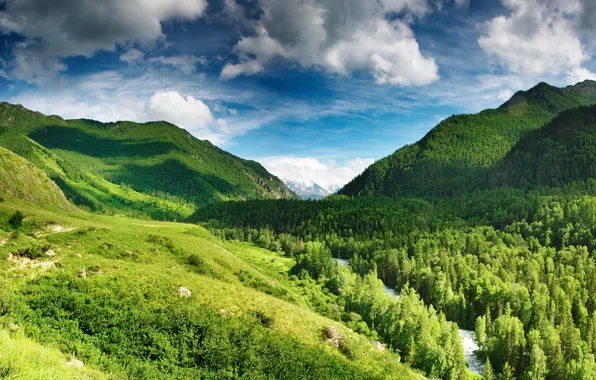 Picture forest, the sky, clouds, mountains, river, blue, Green highlands