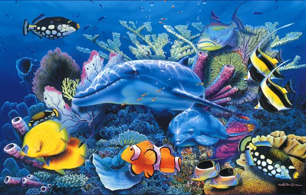 Sea, fish, Dolphin, blue, aquarium, beautiful, Christian, Riese