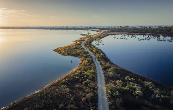 Picture Water, Trees, USA, Alabama, Alabama, Coastal habitat, Good Help, Bon Secour