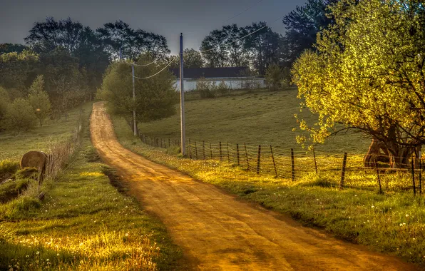 Picture road, nature, beauty, village