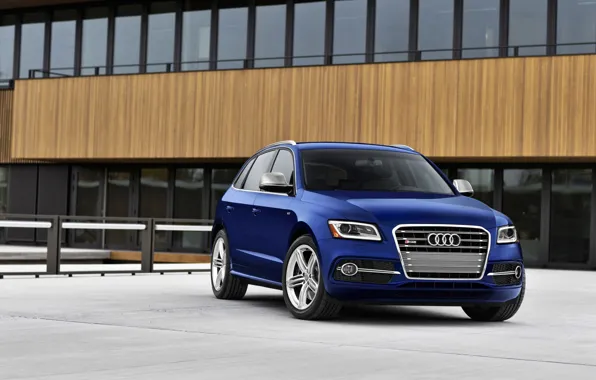 Audi, Blue, (2014), SQ5