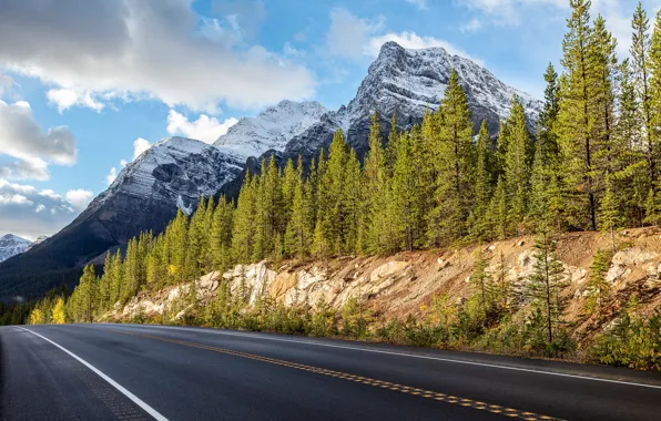 Road, forest, trees, mountains, Canada, Albert, Banff National Park, Alberta