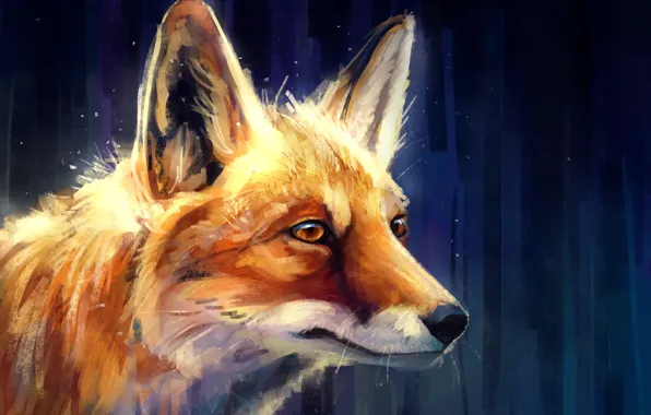 Picture Fox, profile, by AlaxendrA